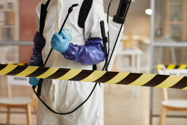 Professional Odor Removal technician working in Montpelier, IN